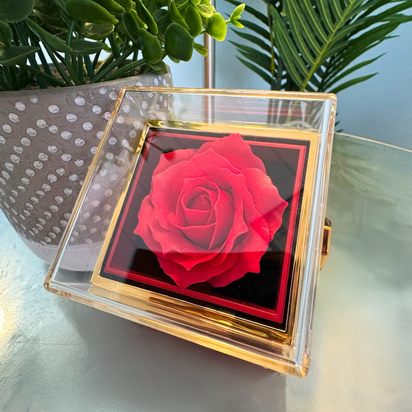 Present Box - Necklace & Rose