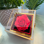 Present Box - Necklace & Rose